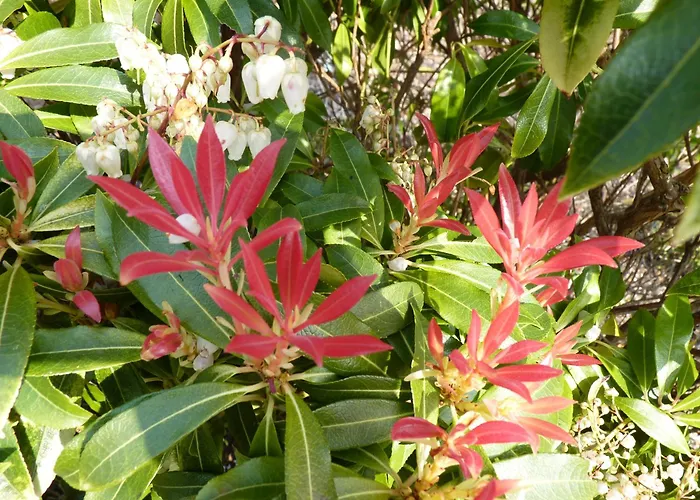 Torine House فندق مبيت وإفطار كيلورجلين